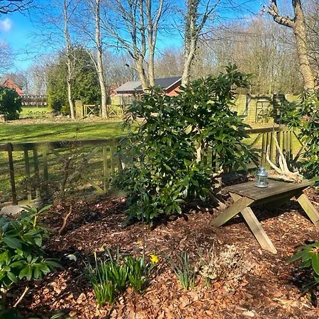 Holiday home Idyllisk Taet Ved Blavand Billum