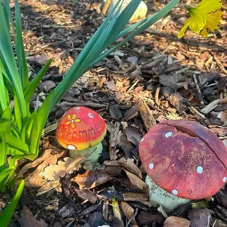 Σπίτι διακοπών Idyllisk Taet Ved Blavand